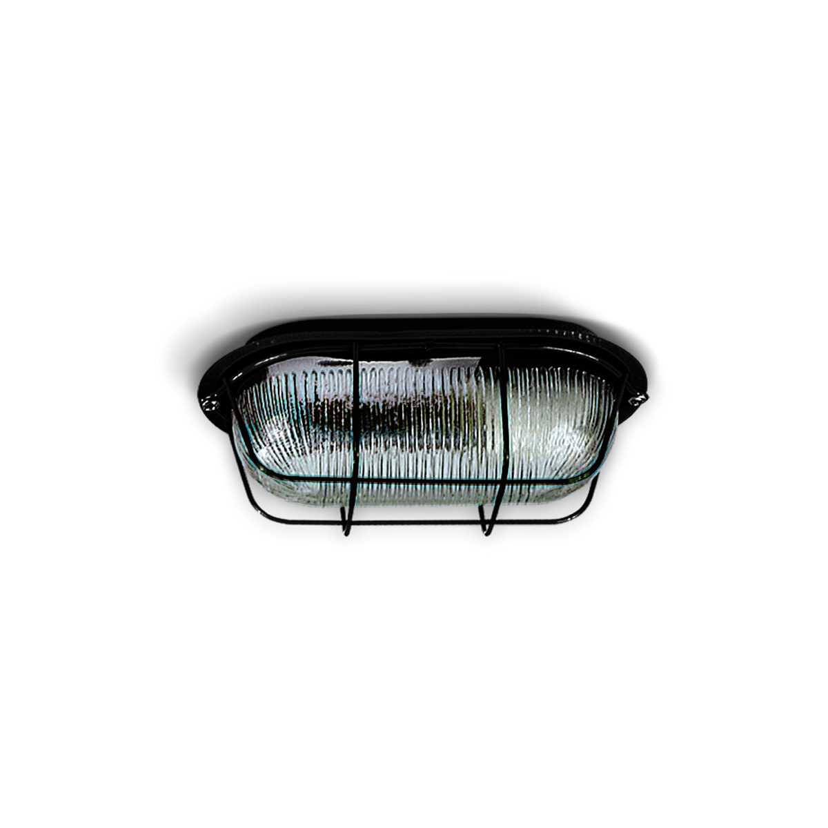 TORTUGA OVAL GRANDE