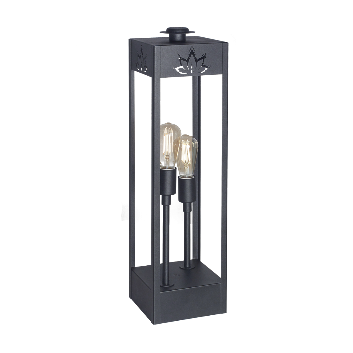 FANAL ELÉCTRICO DE PIE  2L